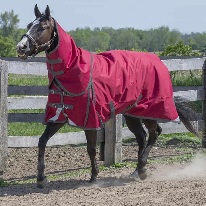 Canadian Horsewear Habanera Diablo Turnout 300gmStarts Shipping October 1
