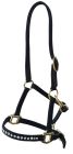 Sage Family Mini or Foal Halter