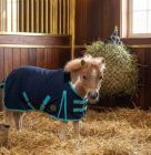 Canadian Horsewear Navy Mini Cooler