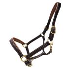 Leather Dual Tone Softy Halter