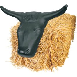 Large Steer Head with Horns