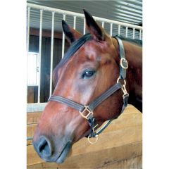 Bromont Leather Halter - Pony, Yearling , Cob, Full, XL black or brown 