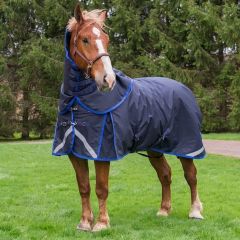Canadian Horsewear Big Fella 300gm