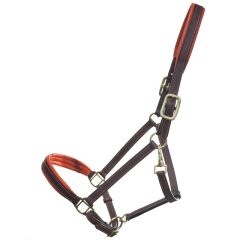 Leather Padded Halter -Orange 