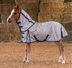 Canadian Horsewear Orien 4 Mini Fly Sheet with Detachable neck. Fresh stock of all sizes arrive April 20th.  