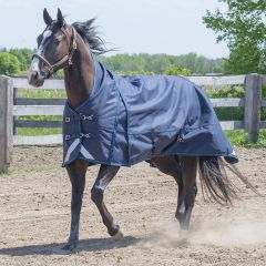 Canadian Horsewear Hurricane Storm 160gm