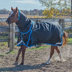 Canadian Horsewear SEAPORT Diablo Storm 160 gm - Free Tail Cord