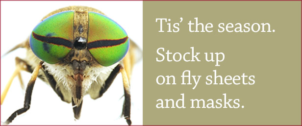 Equestrian Fly Protection Wholesale